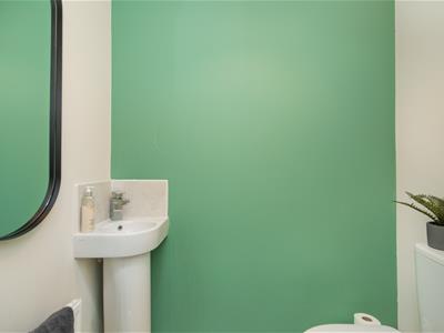 Picture 16